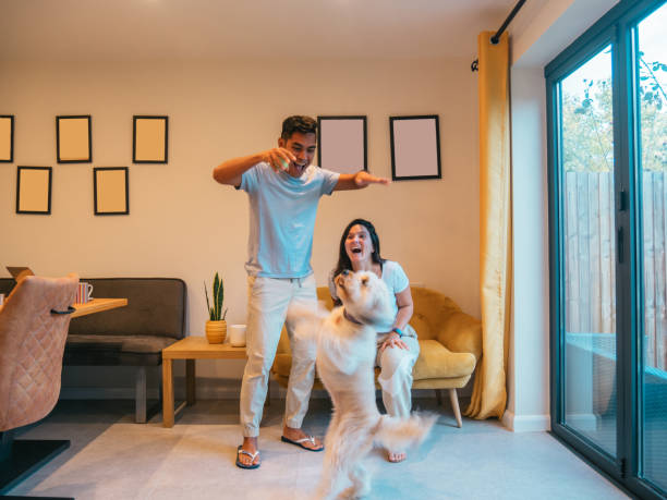 istock Diverse couple at home playing with dog 1463297452