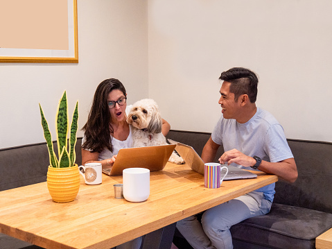 Family working online on laptops at home with their pet