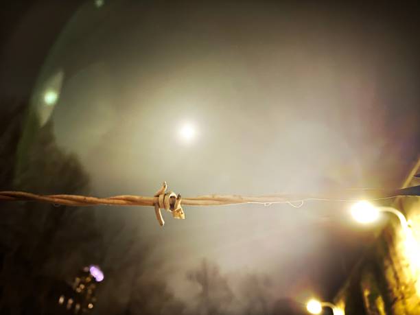 Barbed Wire at Night with the Moon