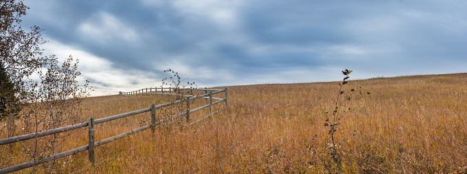 Old wooden rural fence in a grassy field Alberta prairies panorama landscape background.