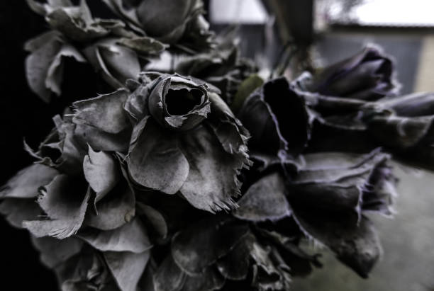 Detail of old flowers, offering for the dead
