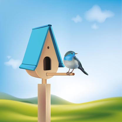 Birdhouse with birds perching in front of the house on sky background