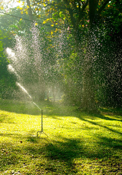 istock Sprinkler splashing water to meadow, Garden 1463326947
