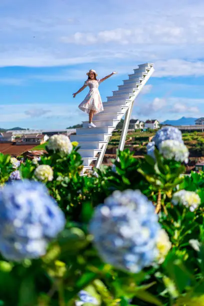 Photo of Young woman traveler enjoying with blooming hydrangeas garden in Dalat, Vietnam, Travel lifestyle concept