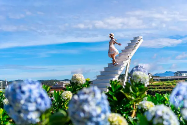 Photo of Young woman traveler enjoying with blooming hydrangeas garden in Dalat, Vietnam, Travel lifestyle concept