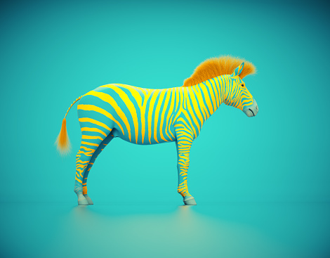 Zebra on blue background. Creative and complex concept. This is a 3d render illustration