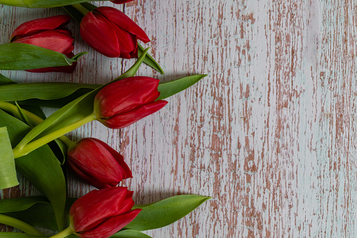 Row of tulips on wooden background with space for message. Background for Mother's Day, Valentine's Day. View from above