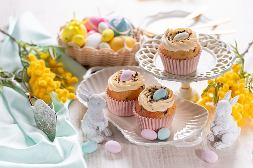 Homemade Easter vanilla cupcakes bird's nest with butter cream, chocolate and candy eggs on a dish.