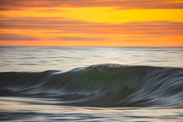 istock Smooth ocean wave breaking in early morning golden light and dramatic sky at sunrise 1463337048