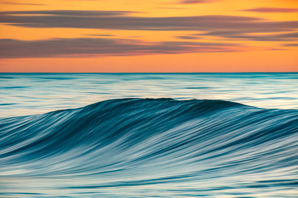 istock Smooth ocean wave forming in early morning golden light and dramatic sky at sunrise 1463337076