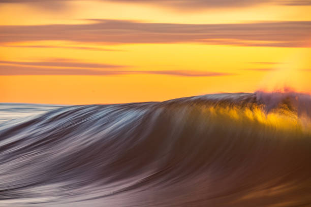 istock Smooth ocean wave breaking in early morning golden light and dramatic sky at sunrise 1463337138
