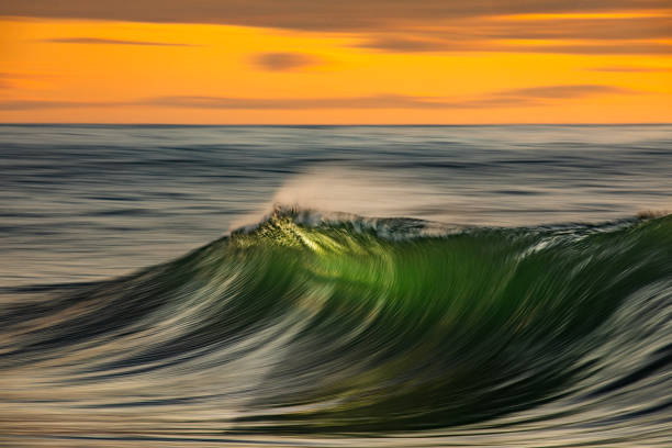 istock Smooth ocean wave breaking in early morning golden light and dramatic sky at sunrise 1463337311