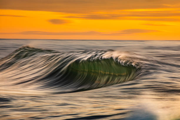 istock Smooth ocean wave breaking in early morning golden light and dramatic sky at sunrise 1463337708