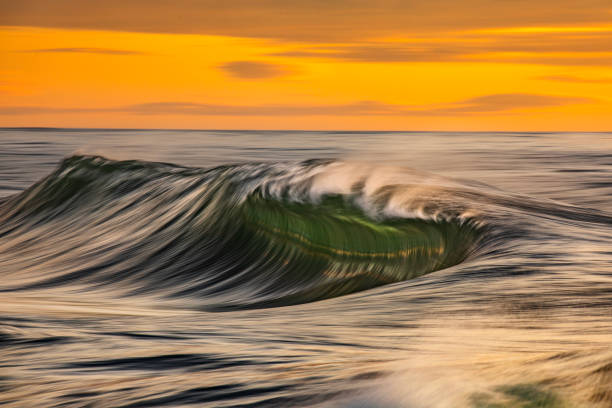 istock Smooth ocean wave breaking in early morning golden light and dramatic sky at sunrise 1463337717