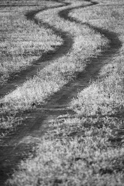 istock Roads of Botswana black and white 1463338935