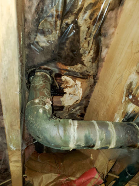 istock Leaking sewage pipe and damaged subfloor 1463339128