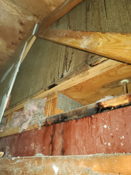 istock Water intrusion into a home from the roof 1463339900