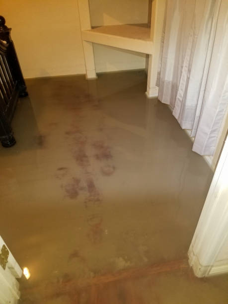 istock Standing water in a basement bedroom after a flood 1463342133