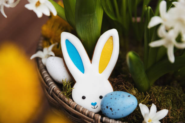 istock Easter bunny gingerbread cookie with ears yellow blue colored as Ukraine flag 1463343902