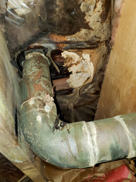 istock Close up of a leaking sewage pipe causing damage to the subfloor 1463344008