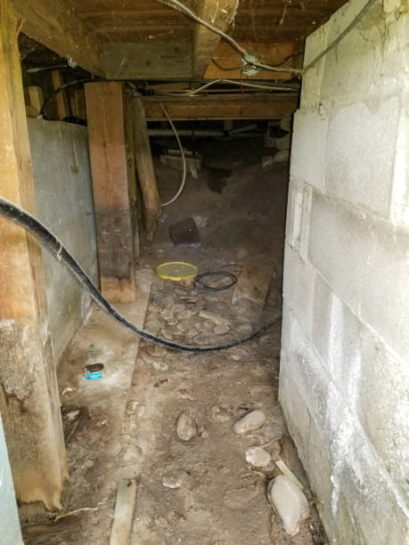istock Crawlspace that had been affected by water damage that has been dried out 1463345047