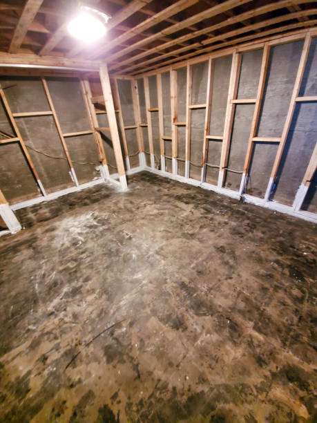 istock Final cleanup of a basement that was affected by a cat 3 water loss 1463345347