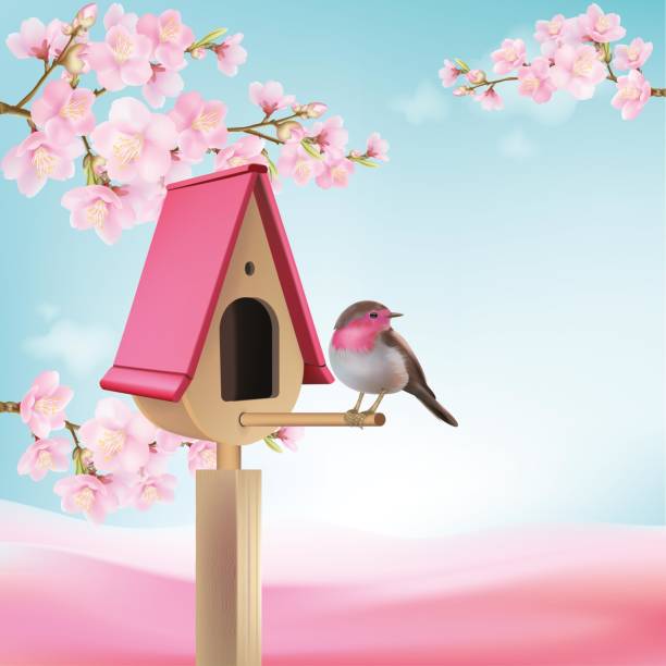하늘을 배경으로 집 앞에 새가 앉아 있는 새집 - birdhouse birds nest animal nest house stock illustrations