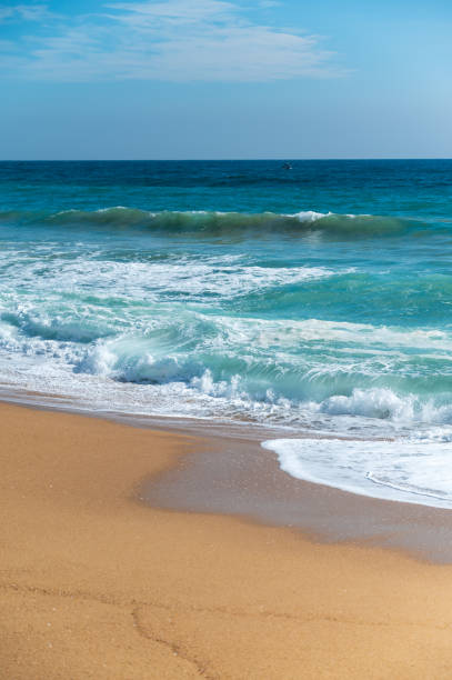 istock natural scenery by the sea 1463346301
