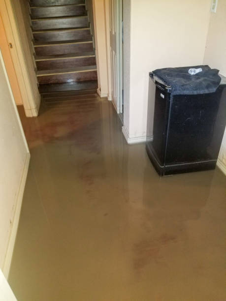 istock Standing water after a flood in a basement 1463347022