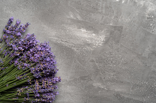 Fresh flowers of lavender bouquet on a gray wooden background, flat lay, above view