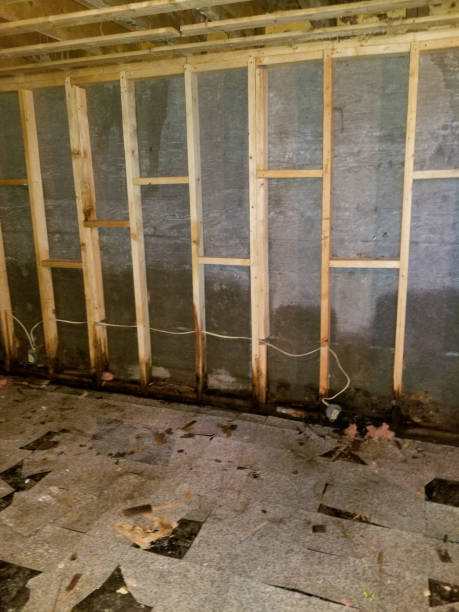 istock Cat 3 water loss in a basement affecting vinyl tile 1463347212