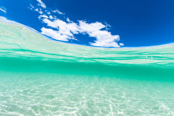 istock Split image of crystal clear blue water at the beach and a sunny blue sky day 1463347939