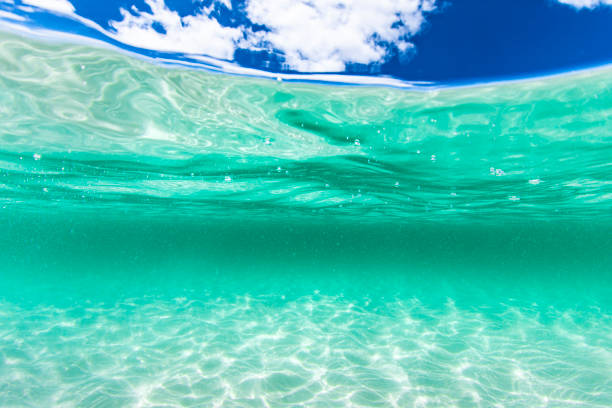 istock Split image of crystal clear blue water at the beach and a sunny blue sky day 1463347965
