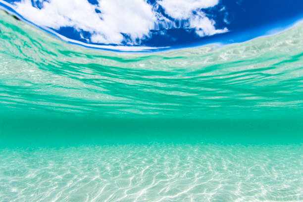 istock Split image of crystal clear blue water at the beach and a sunny blue sky day 1463347990