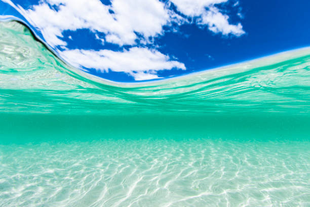 istock Split image of crystal clear blue water at the beach and a sunny blue sky day 1463347997