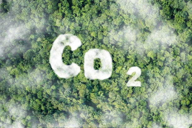 istock CO2 Clouds. oxygen O2 and carbon dioxide CO2 molecules - Carbon dioxide absorption and oxygen release concept 1463354513