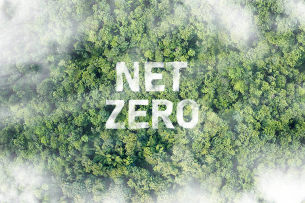 istock Net Zero 2050 Carbon Neutral, cloud of mist in the green Net Zero figure. 1463355126