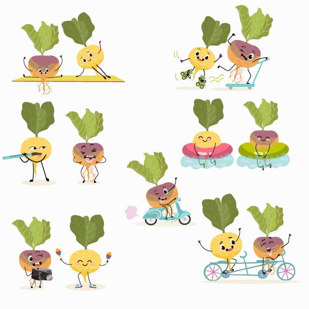 ilustrações de stock, clip art, desenhos animados e ícones de vector illustration with funny cartoon characters set of swede, rutabaga, turnip, collection of characters doing sports, playing musical instruments, riding. funny and healthy food. - rutabaga