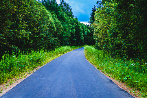 Empty Road in forest against the rain in summer evening.country road curved roadway, trees with green foliage in overcast sky.Landscape with empty asphalt road through woods in summer.Travel concept.