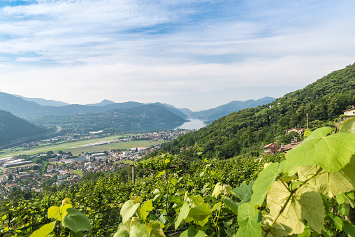 Lake Lugano  with in the foreground the slopes cultivated with vineyards; below, the Lugano airport and the town of Agno, Switzerland. Agno is a municipality in the district of Lugano in the canton Ticino. View from below the village of Cademario. The area is also known as Malcantone and Sottoceneri