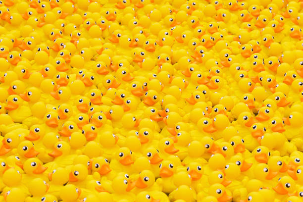 istock yellow toy duck floating in the pool 1463366365