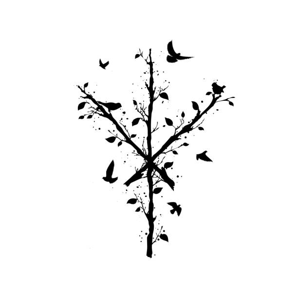 Bind Rune Crows 210+ Celtic Crow Stock Photos, Pictures & Royalty-Free Images - iStock