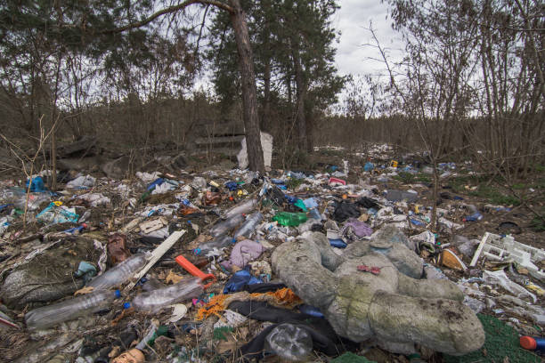 istock Illegal dumping in forest landscape photo 1463369384