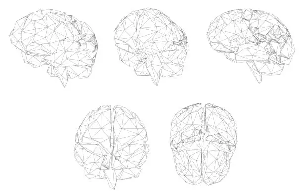 Vector illustration of three-dimensional vector cyber brain. neural network mega-data processing