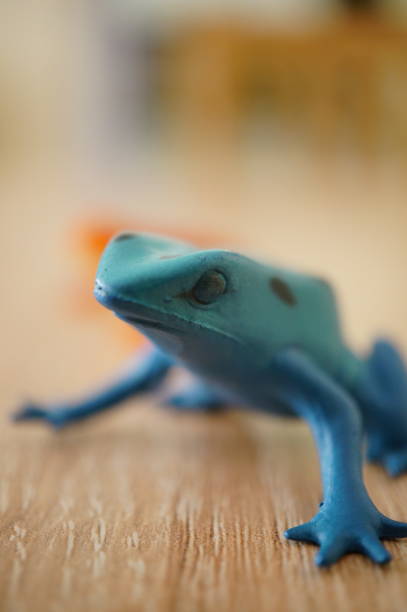 istock Plastic toy frog on a wooden table 1463371783