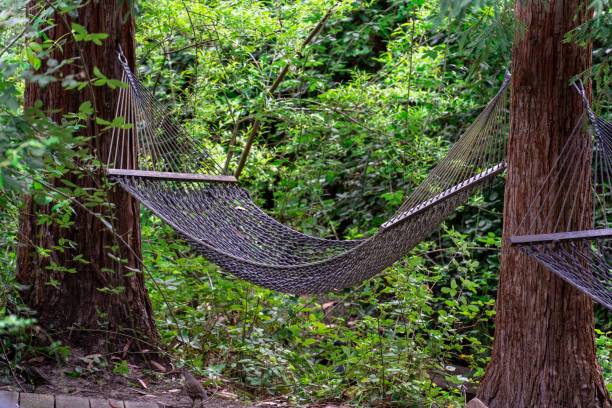 istock Large rope hammock hanging on trees in a park 1463372577