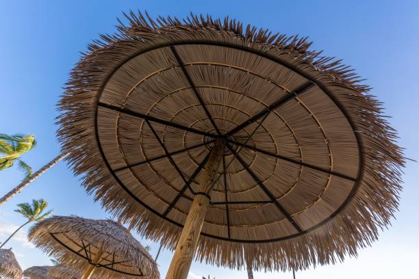 istock Low angle shot of wicker umbrella under a blue sky on a beach 1463372984
