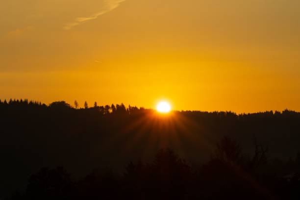 istock Beautiful view of trees against scenic sunset 1463374068