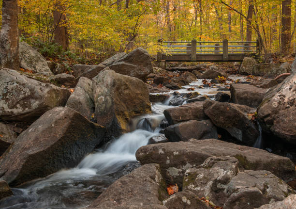 istock Beautiful rocky stream in an autumn forest 1463375725