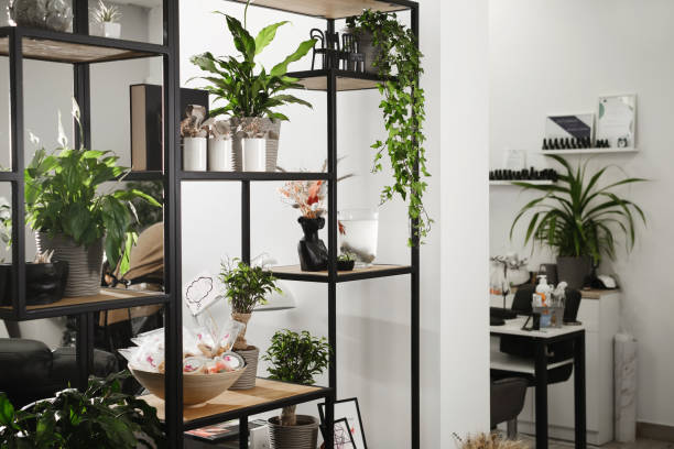 istock Beauty salon interior. Plants and manicure tools locating on long shelves 1463376638